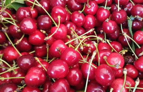 suite in cascina affittacamere - Photo 33