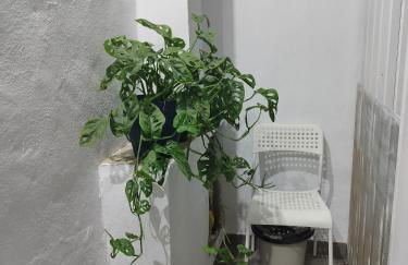 Casa de María Luisa - Foto 19