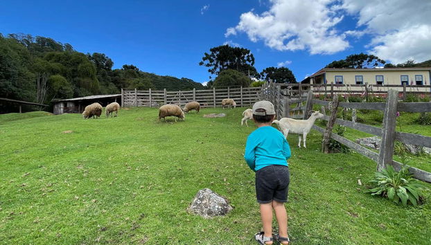 Fazenda Esperança Excursion - Foto 2