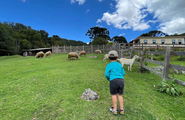 Excursión a Fazenda da Esperança - Foto 2