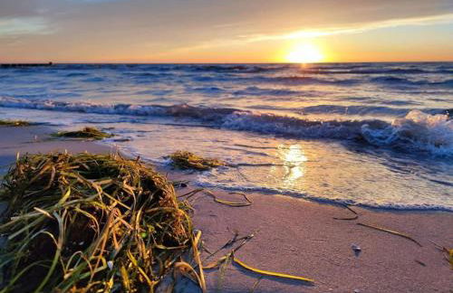 Appartements Post Hiddensee, Vitte - Foto 50