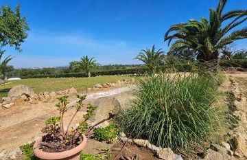 Quinta do Lagar - 10 - Foto 45