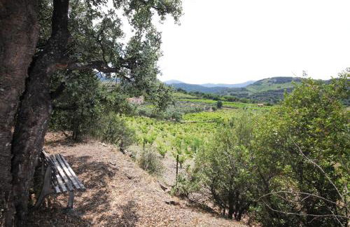 Mar i Munt - Foto 26