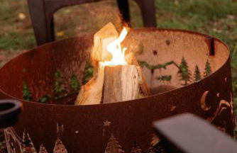 Creekside Fun Dog-friendly, Games & Fire Pit - Foto 24