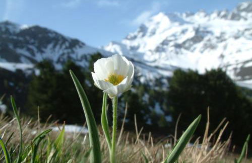 Agriturismo Raethia - Foto 16