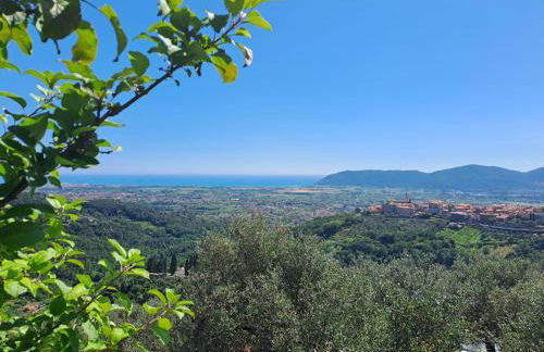 La Maestà di Alice - Foto 47