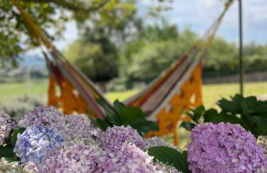 La casina de Suances - Foto 2