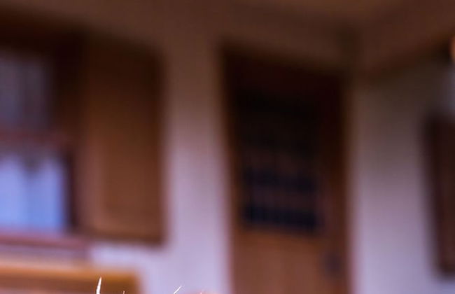 Locar-in Gramado Chalé Recanto - Photo 20