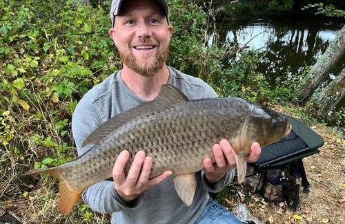 NEW Cosy cottage - Lake view & Log Burner - Dog proof garden - Foto 29