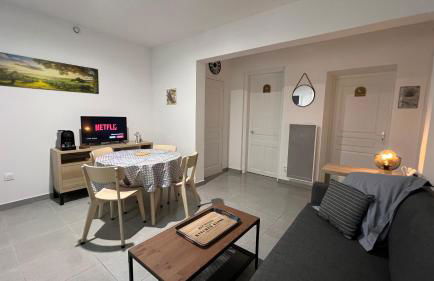 Appartement T2 40 M2 cosy RDC plein centre ville - Foto 5