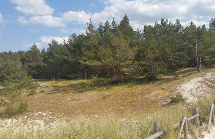 Magico Posto - Foto 66