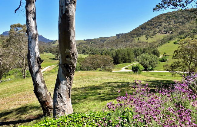 Capertee National Park Cottages - Foto 14