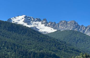 Wood Peak Apartment - Photo 15