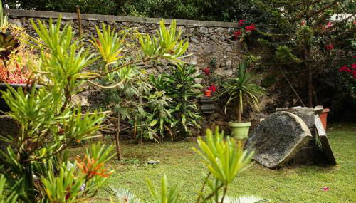 Casa do Pico Arde - Photo 3, Garden