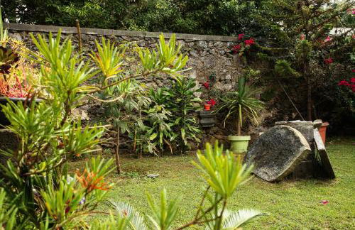 Casa do Pico Arde - Photo 3