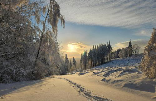 Haus Blumenglück 2 - Foto 13