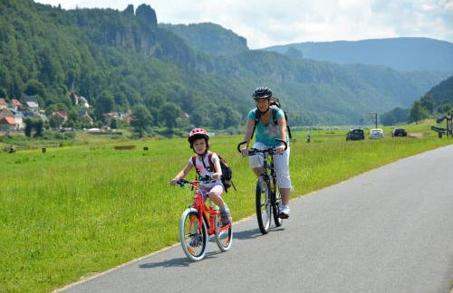 Ferienwohnung Gohrisch - Foto 41
