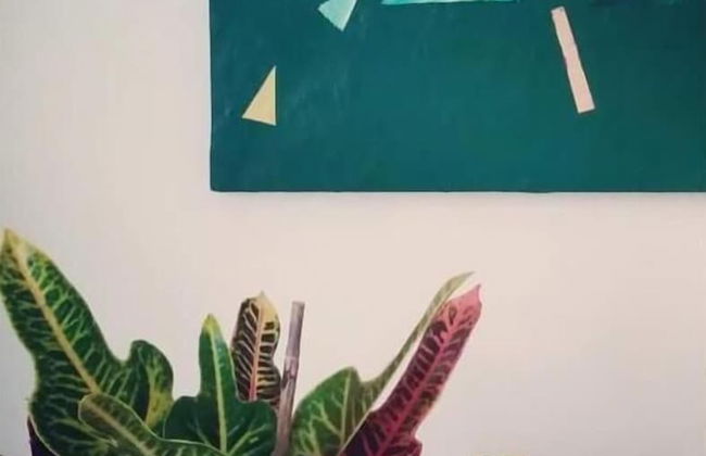 Agriturismo Monte Cologna - Foto 24