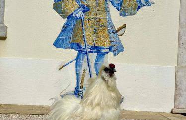 Luxurious royal estate in historic Sintra paradise - Foto 19