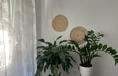 Casablanca 95 - Foto 9