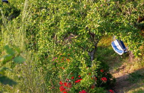 Horizontes Serranos - Foto 33