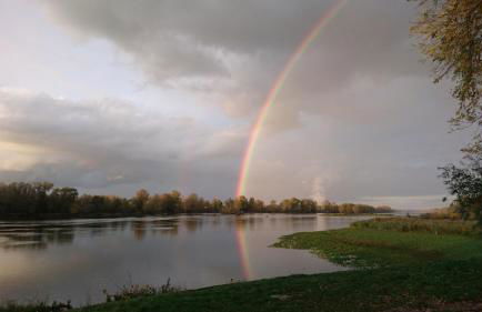 LE MAS maison vue sur Loire jardin 4 - Foto 15