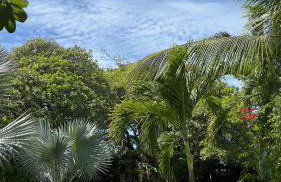 Pousada Rio das Onças - Photo 24