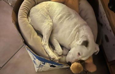 LA MAISON D'ULYSSE spa et détente - Foto 45