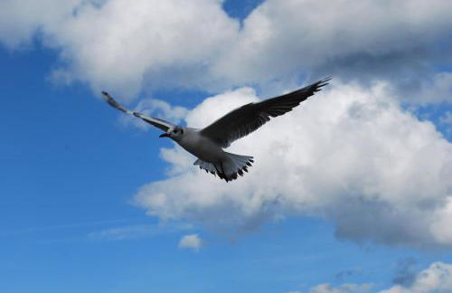 Ferienwohnung zur Düne - Foto 20