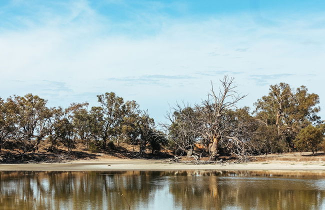 Warrawong on the Darling - Foto 34