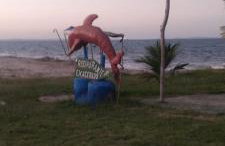 Lucy teles - Foto 11