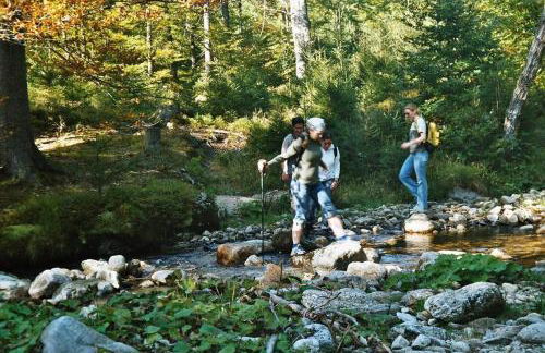 Ferienhof Guglhupf - Foto 51