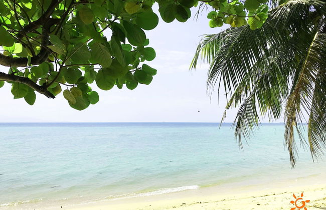 Sunshine Residence - Photo 43