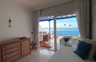 Erizo de mar - Foto 19