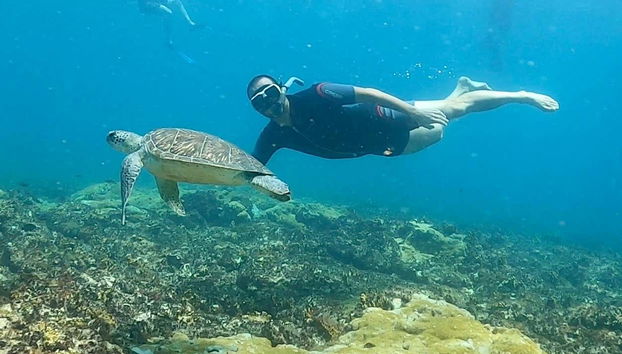 Sous les eaux cristallines de l'île de Sal
