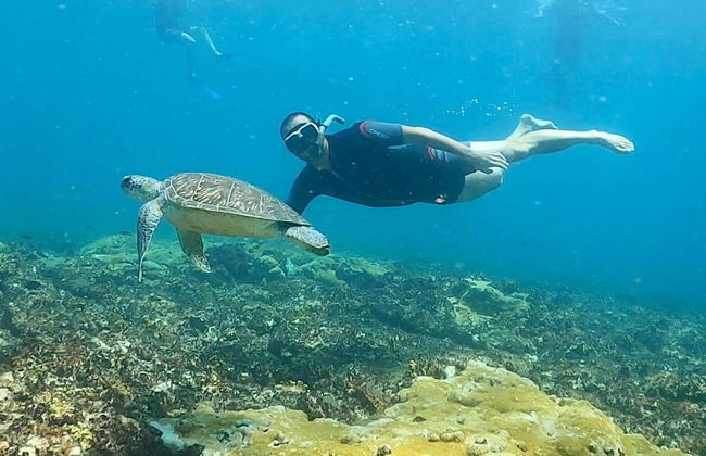 Snorkel en la isla de Sal - Foto 1