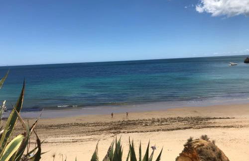 Paraiso vale da ribeira - Foto 34