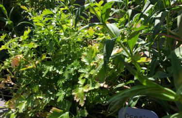 les Cottages du Valcoquet - Foto 101