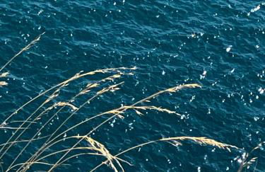 Casale el galet - Foto 73