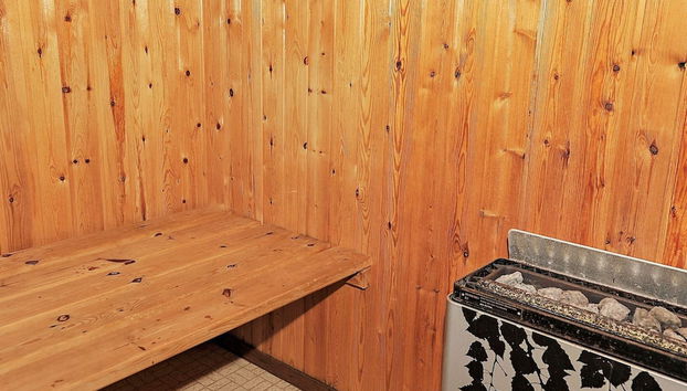 Holiday Home in RingkÃ¸bing - Foto 4, Sauna