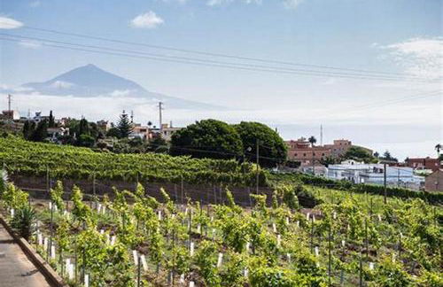Finca rural House Tenerife Relax And Enjoy - Foto 62