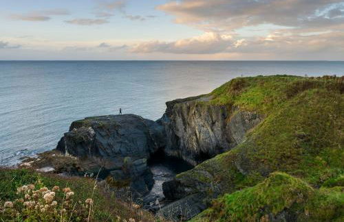 Dyffryn Cottage - Foto 46