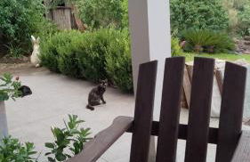 Acomodação do Viveiro Bela Flor - Photo 2