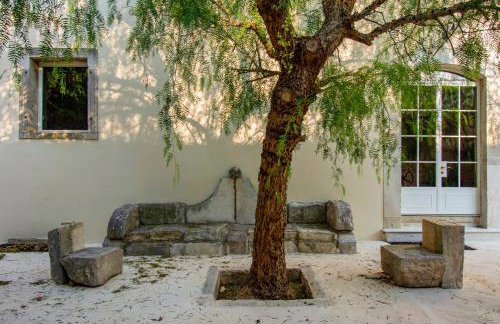 Masseria Villa Gioia - Foto 30