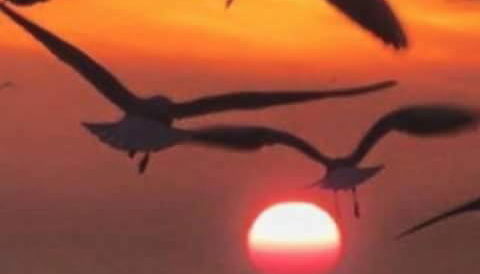 Casa 4 quartos Condomínio em Frente a Praia Grande - Foto 5