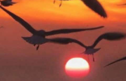 Casa 4 quartos Condomínio em Frente a Praia Grande - Foto 5