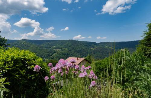Chalet ensoleillé dans les Hautes Vosges avec terrasse, local vélos et skis, charges incluses - FR-1-589-486 - Foto 12