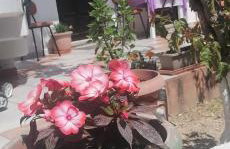 Resort Village - Foto 28