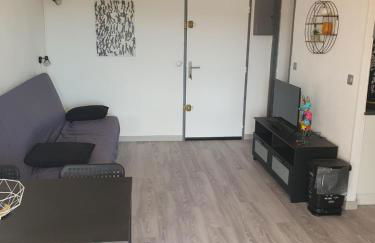 LES TERRASSES DE LA BARONNIE Appartement climatisé avec 1 chambre et piscine ouverte de fin Mai à mi Septembre Parking securisé avec accroches vélo disponible du 1er Avril au 30 Septembre sans supplement - Foto 13