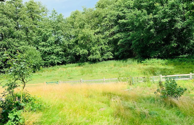 funckyho.me - Foto 3